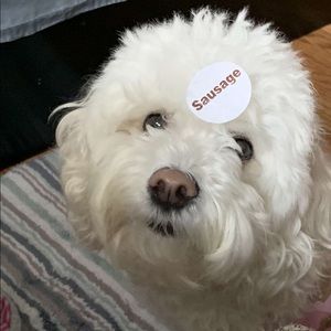 Meet your Posher, Nancy